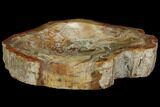 Colorful Polished Petrified Wood Bowl - Madagascar #108202-2